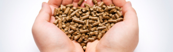 Switching to Pellets Reduces CO2 emissions by 90% & Saves 50% on Heating Costs