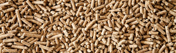 EPA Releases Analysis of Emissions from Biomass Fuel!