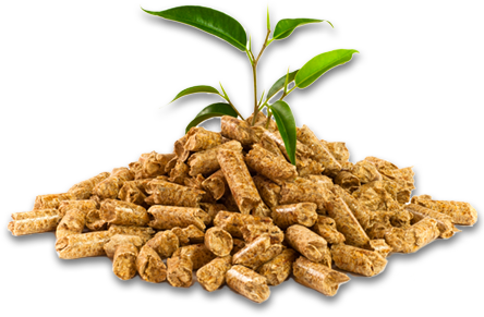 Wood Pellets